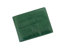 Gai Mattiolo Man Leather Wallet Green-6218
