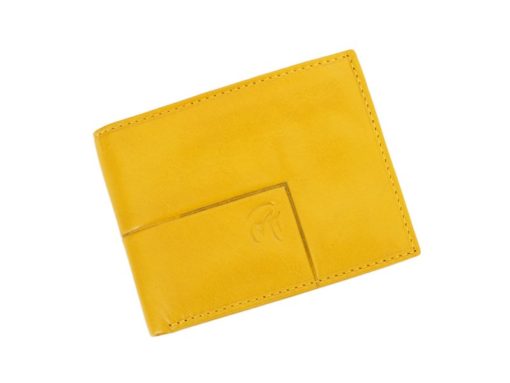 Gai Mattiolo Man Leather Wallet Brown-6244