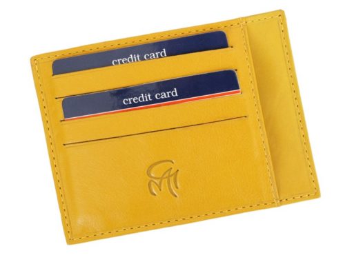 Gai Mattiolo Credit Card Holder Green-4298
